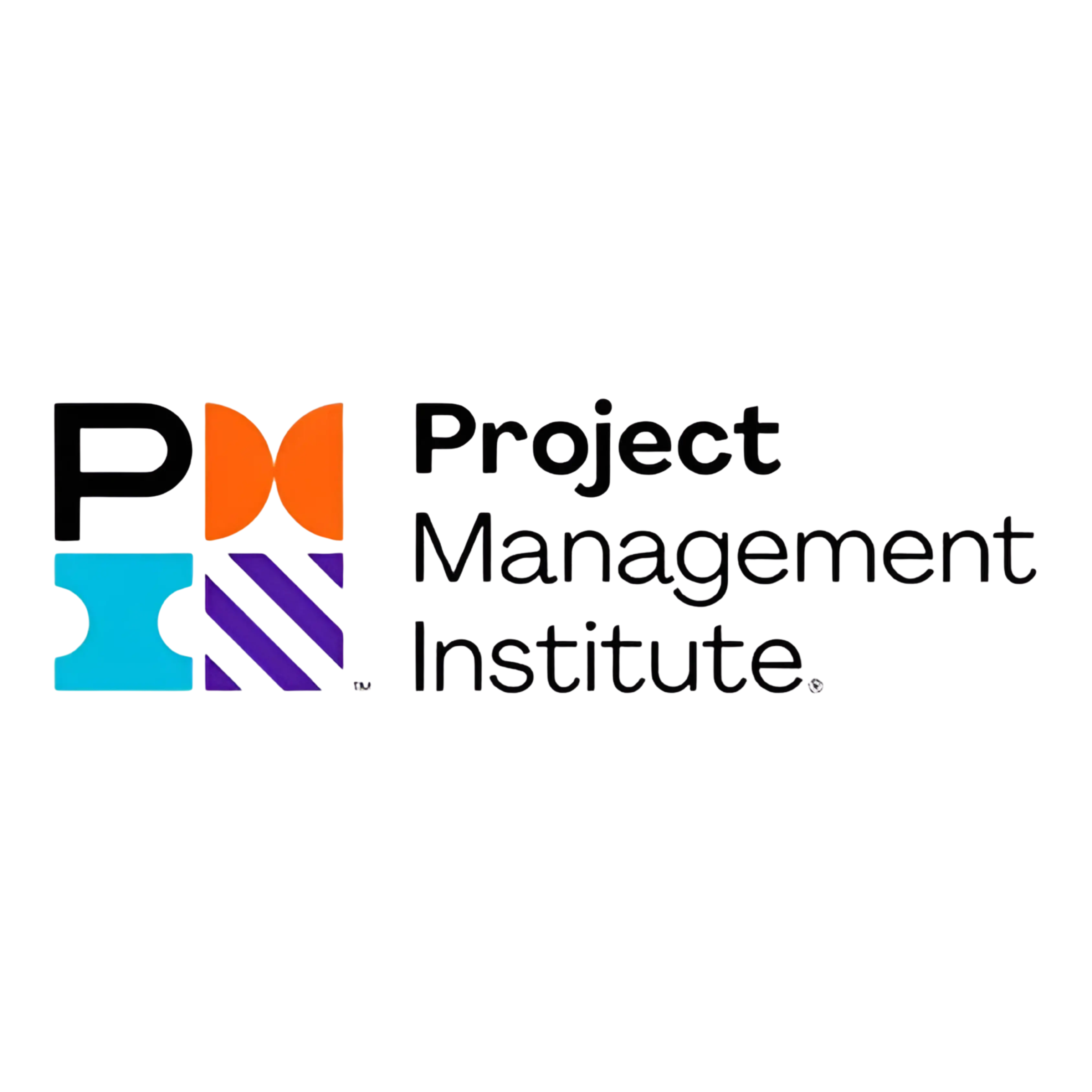 Project Management Institute Logo